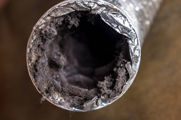 Best Professional Duct Cleaning Services  in Commerce, TX